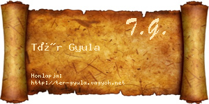Tér Gyula névjegykártya